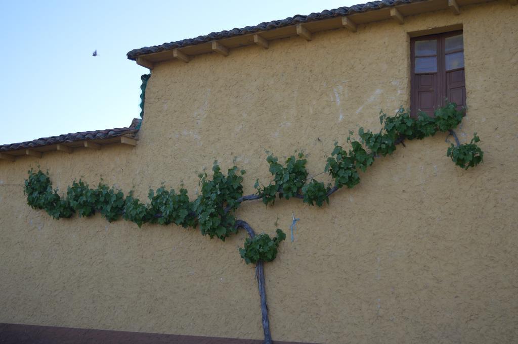 Casa Rural Los Llaganos Villaturiel Exterior foto